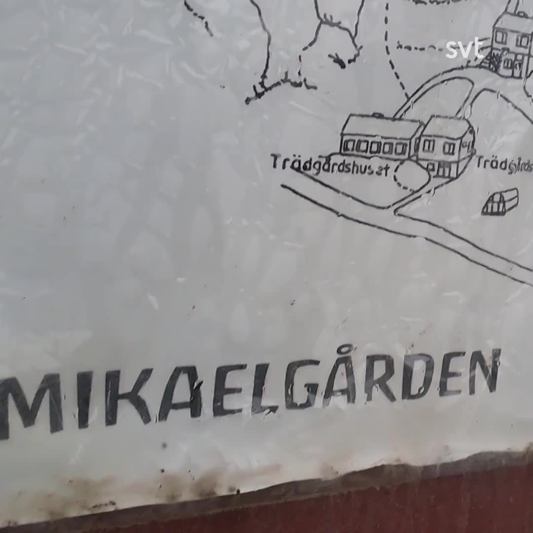 Ville ge bästa maten – här startade epoken